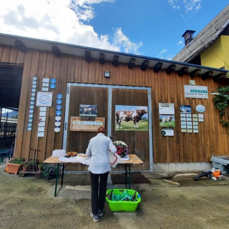 Stručna ekskurzija Austrija 2022.