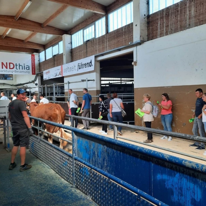 Stručna ekskurzija Austrija 2022.