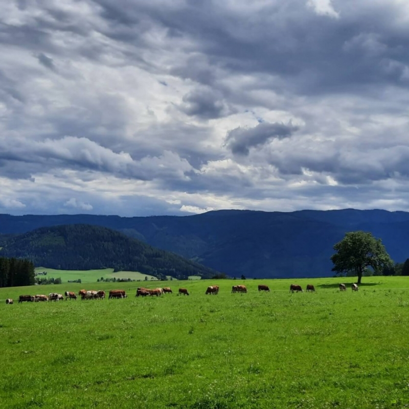 Stručna ekskurzija Austrija 2022.