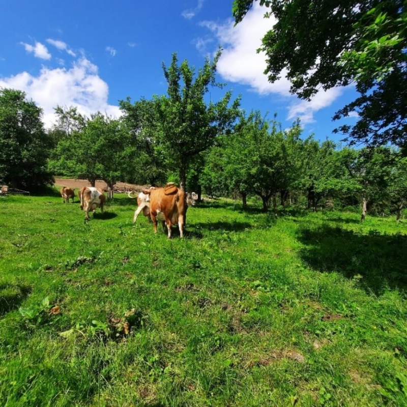 Stručna ekskurzija Austrija 2022.