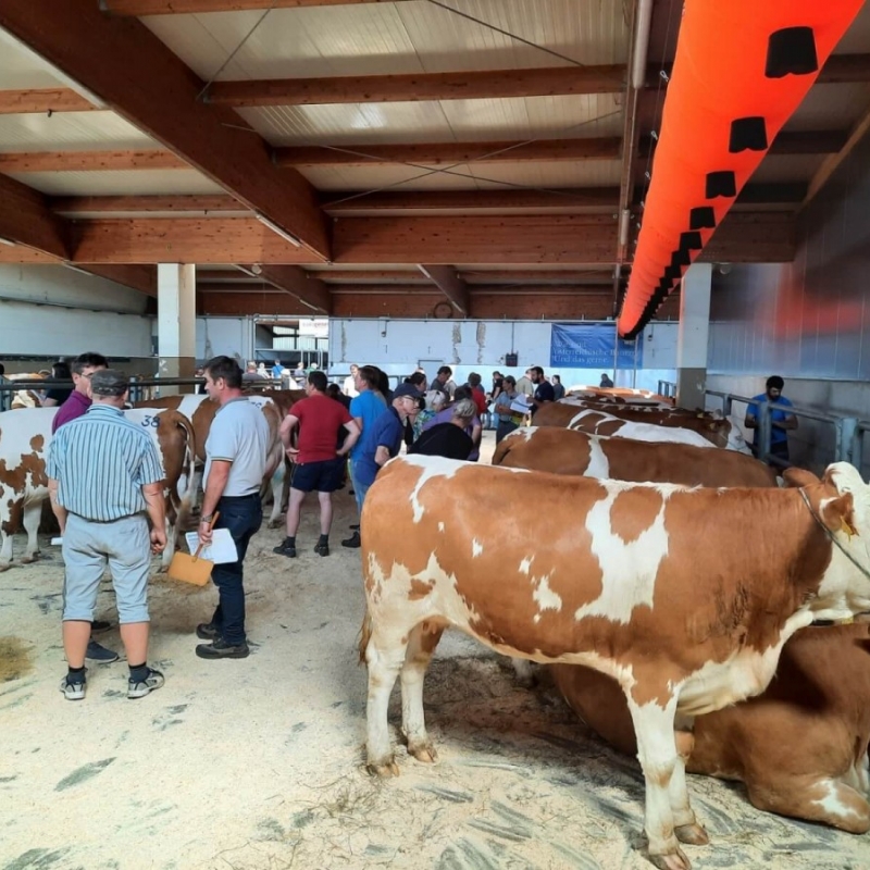 Stručna ekskurzija Austrija 2022.