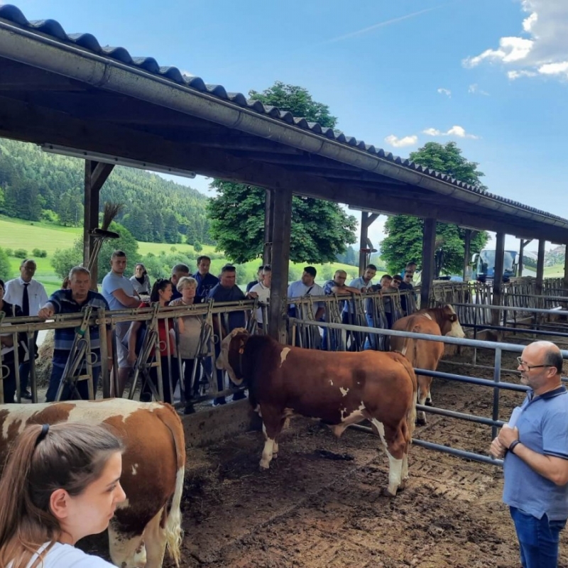 Stručna ekskurzija Austrija 2022.