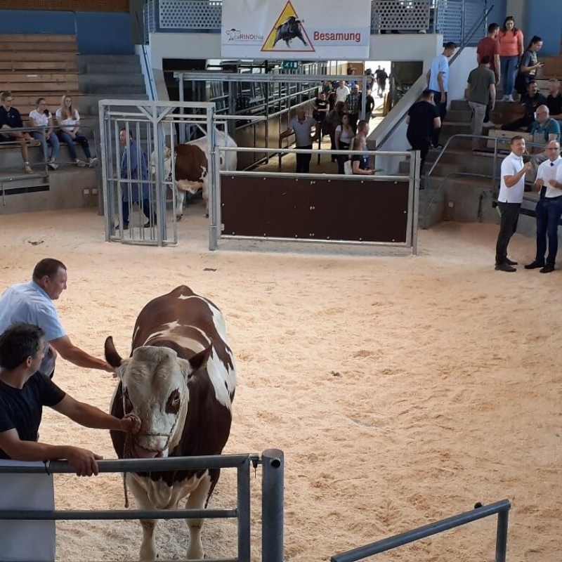Stručna ekskurzija Austrija 2022.