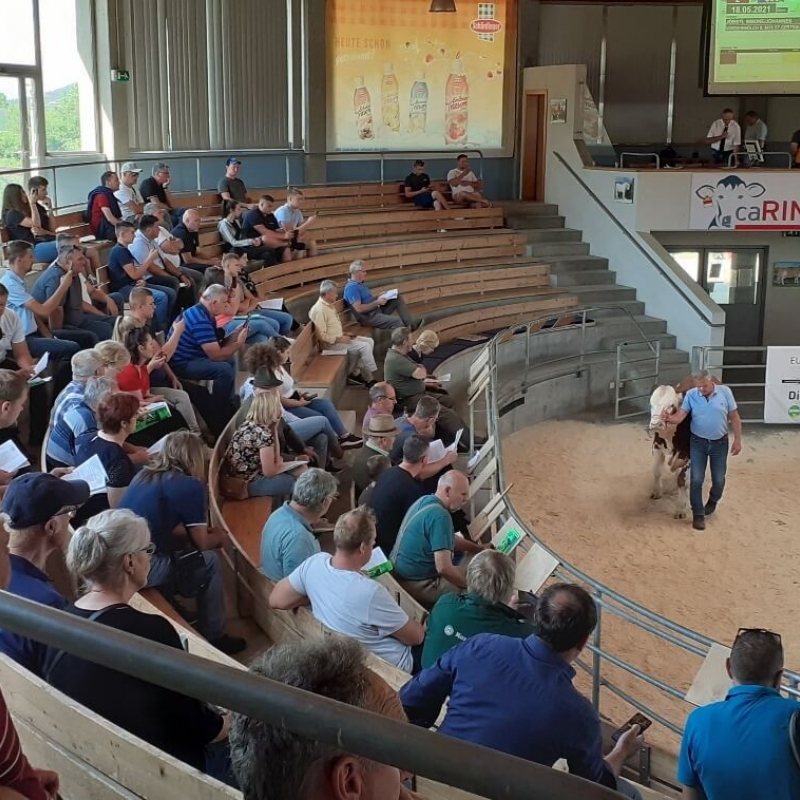 Stručna ekskurzija Austrija 2022.