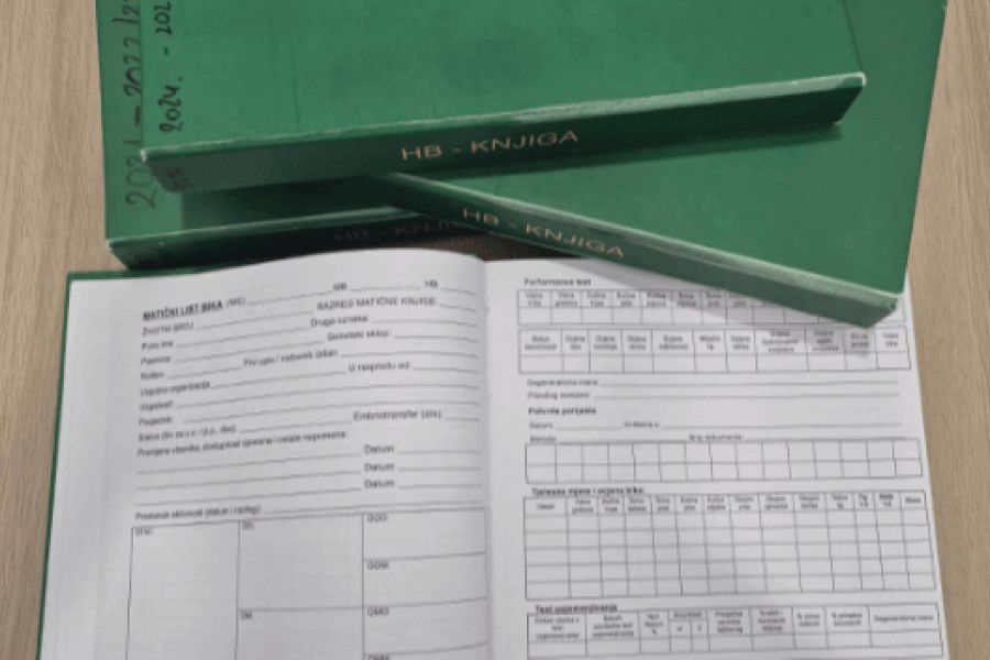 Važnost i nužnost upisa uvezenih rasplodnih grla u Simentalsku matičnu knjigu